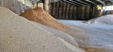 Futterhalle unseres Hofes