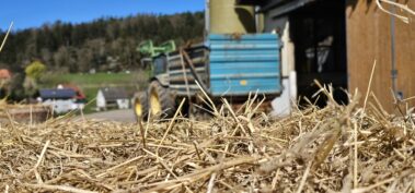 Kocherbach im Odenwald. Unser Hof liegt inmitten des kleinen Dorfes umgeben von sanften Hügeln
