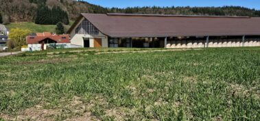 Kocherbach im Odenwald. Unser Hof liegt inmitten des kleinen Dorfes umgeben von sanften Hügeln