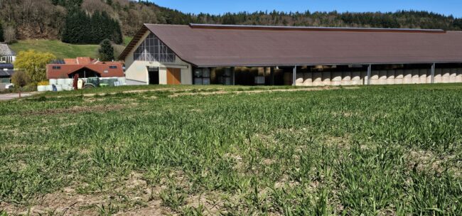 Kocherbach im Odenwald. Unser Hof liegt inmitten des kleinen Dorfes umgeben von sanften Hügeln