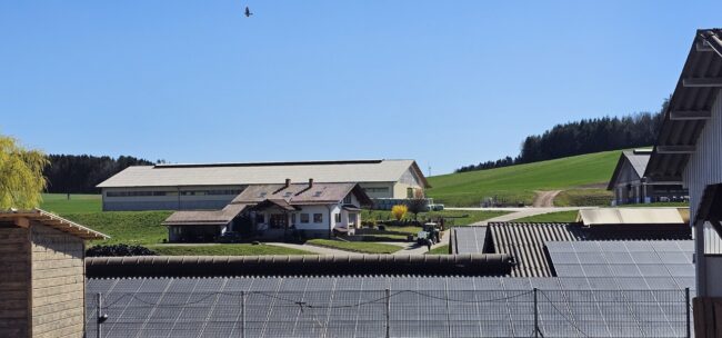 Hof Keil im Odenwald. Mit Herz und Leidenschaft in der Landwirtschaft