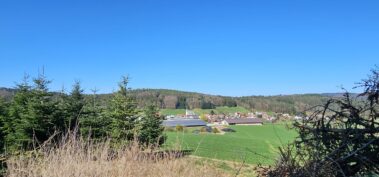 Tannenschonung des Hof Keil in Kocherbach. Weihnachtsbäume und Schnittgrün deutschlandweit versendet. Bis zu 14m Tannen für das Weihnachtsfest.
