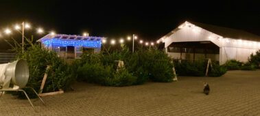 Hofverkauf in Kocherbach Odenwald von Weihnachtsbäumen für den privaten Gebrauch