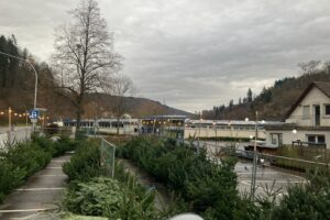 Weihnachtsbaum-Verkauf in Weinheim und Gorxheimertal durch Hof Keil aus dem Odenwald Weihnachtsbaum-Verkauf in Weinheim und Gorxheimertal durch Hof Keil aus dem Odenwald